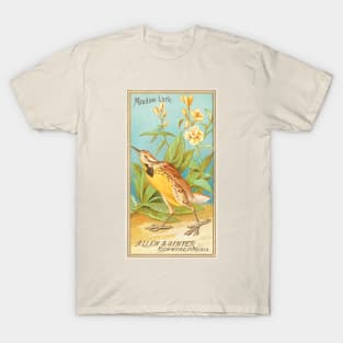 Meadow Lark T-Shirt